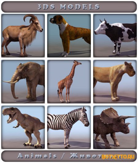 3Ds models - Animals / Животные