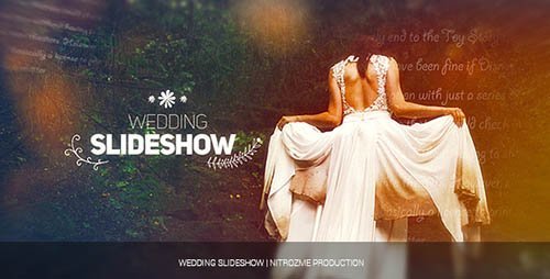 Wedding Slideshow 17880999 - Project for After Effects (Videohive)