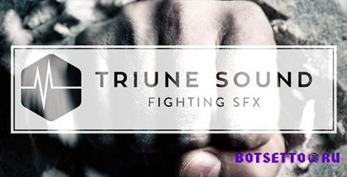 Sound Library: Triune - Triune Sound Fighting SFX