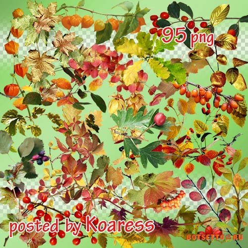 Png клипарт для дизайна - Осенние листья, ветки, ягоды
