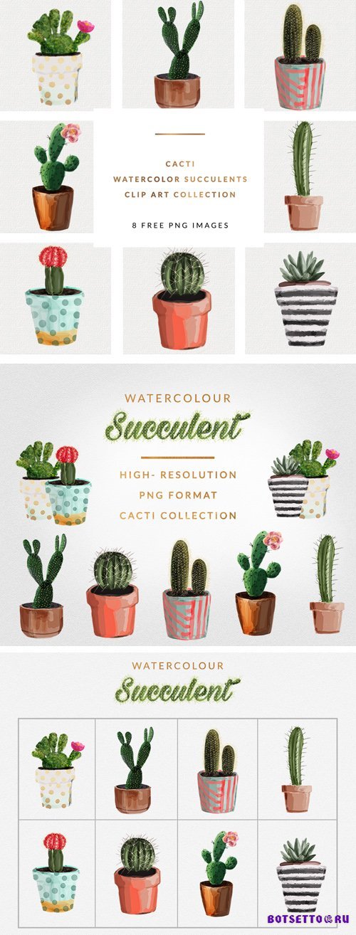 Watercolor Cactuses - Transparent Png Elements