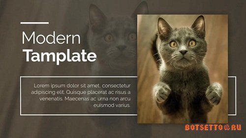 Promo - After Effects Templates