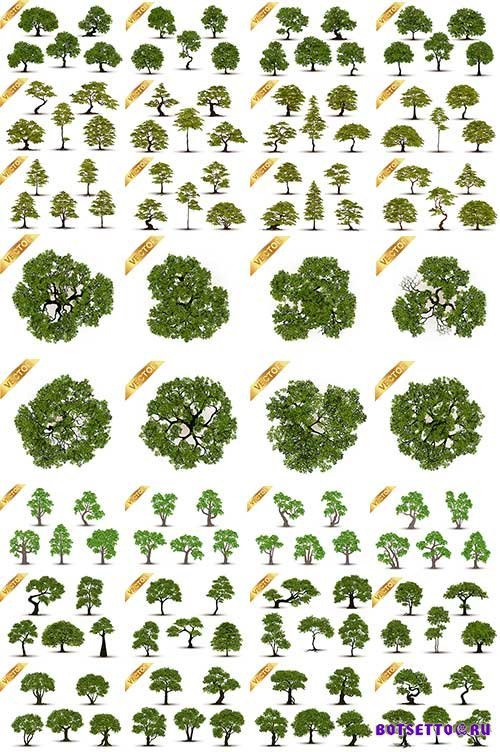  Деревья в векторе / Trees in vector